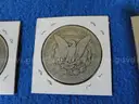 Lot of 10 Morgan Dollars