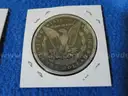 Lot of 10 Morgan Dollars