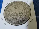 Lot of 10 Morgan Dollars