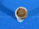 Uncirculated Coin Collection