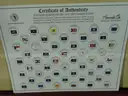 Coin Collection (24.3 lbs.)