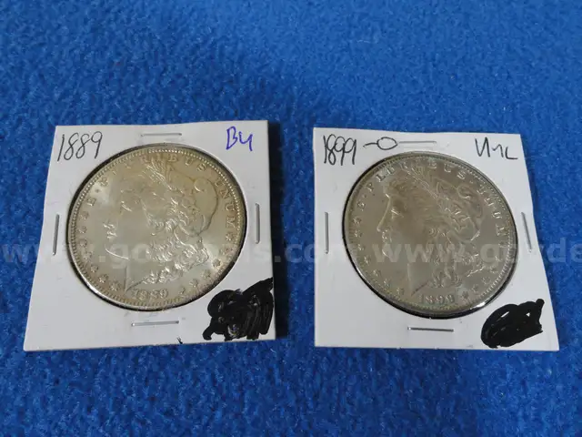1889 &#x26; 1899-O Morgan Dollars (Condition Marked BU &#x26; UNC) (Lot #2)