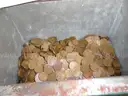 Stash of Coins - 49.2 lbs (Lincoln Wheat Pennies) - Lot #1