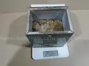 Stash of Coins - 49.2 lbs (Lincoln Wheat Pennies) - Lot #1