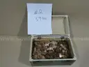 Stash of Coins - 59 lbs (Lincoln Copper Pennies 1959&#x2013;1981) - Lot #2