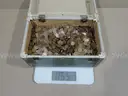 Stash of Coins - 59 lbs (Lincoln Copper Pennies 1959&#x2013;1981) - Lot #2