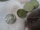Stash of Coins - 14.9 lbs (Lincoln Wheat Pennies) - Lot #6