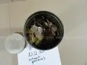 Stash of Coins - 10.2 lbs (Lincoln 1910s, &#x27;20s, &#x27;30s Wheat Pennies) - Lot #9