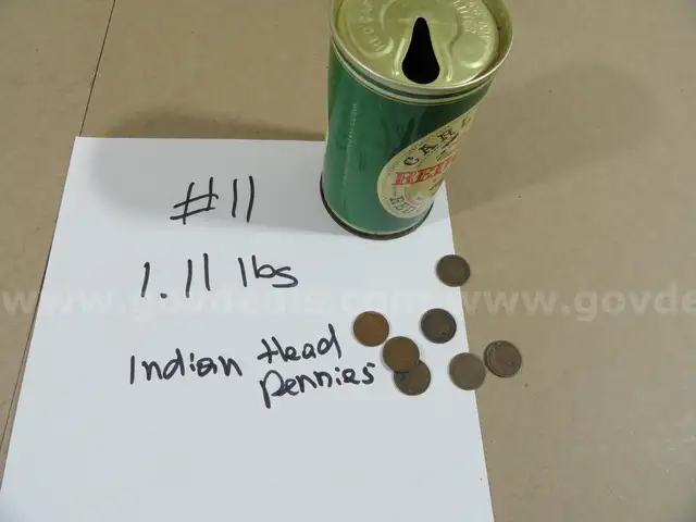 Stash of Coins - 1.11 lbs (Indian Head Pennies) - Lot #11