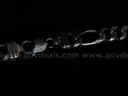 NICE! Italian Sterling Chain - 92.40g!