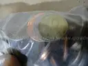 Coins - 4.7lbs