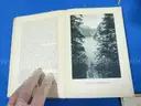 Lot of 7 Antique GERMAN Books
