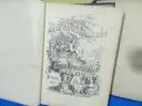 Lot of 7 Antique GERMAN Books