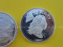 Unique Collection of 19 Silver Rounds (1 Troy Ounce .999 Fine Silver Each)