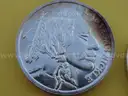 Unique Collection of 19 Silver Rounds (1 Troy Ounce .999 Fine Silver Each)