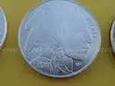 Unique Collection of 19 Silver Rounds (1 Troy Ounce .999 Fine Silver Each)
