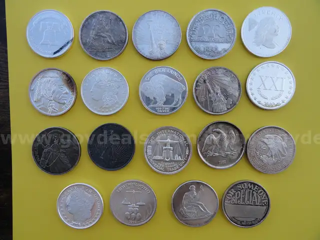 Unique Collection of 19 Silver Rounds (1 Troy Ounce .999 Fine Silver Each)