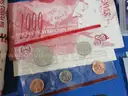 Large and Extensive Coin Collection (19.9 lbs)