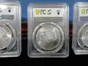 Lot of 4 Brilliant Morgan Dollars &#x2013; PCGS MS63 &#x2013; In Elegant Gift Box (Lot #11)