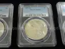 Lot of 4 Brilliant Morgan Dollars &#x2013; PCGS MS63 &#x2013; In Elegant Gift Box (Lot #11)