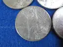 BRILLIANT Peace Dollars 1922 - 1926