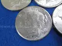 BRILLIANT Peace Dollars 1922 - 1926