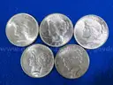 BRILLIANT Peace Dollars 1922 - 1926