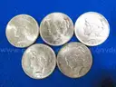 BRILLIANT Peace Dollars 1922 - 1926