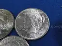 BRILLIANT Peace Dollars 1922 - 1926