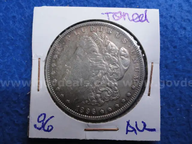 1896 Morgan Dollar - AU Toned