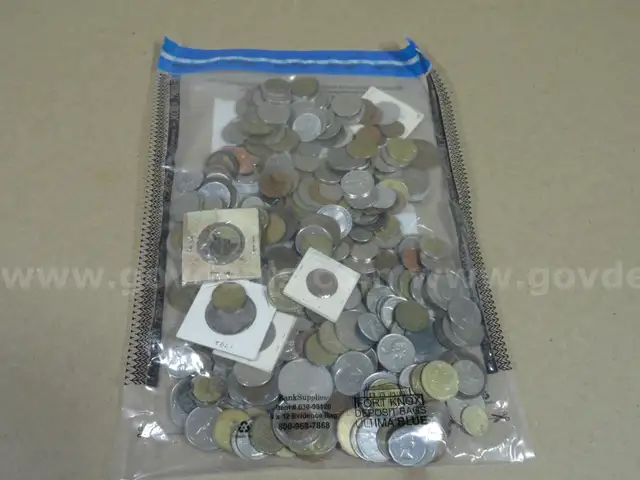 LARGE Lot for Foreign Coins