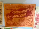 MOVIE LOVERS! LOT of 16 ORIGINAL Old, Vintage Movie Window Card Posters