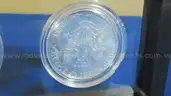 Beautiful Set of Colorized &#x26; Hologram Silver Eagles, Consecutive Years (2000&#x2013;2005), Framed
