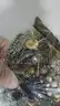 Lot of Jewelry (18.1 lbs)