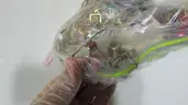 Lot of Jewelry (18.1 lbs)