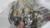 Lot of Jewelry (18.1 lbs)