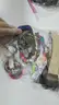 Lot of watches (two bags)