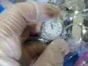Lot of Watches (three bags)