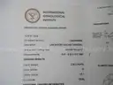 2.36 carat Round Brilliant Lab Diamond with IGI Report