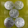(5) 2024 UNCIRCULATED AMERICAN SILVER EAGLE 1OZ ASE DOLLARS FRESH FROM MONSTER BOX FREE SHIPPING (USA ONLY)