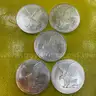 (5) 2024 UNCIRCULATED AMERICAN SILVER EAGLE 1OZ ASE DOLLARS FRESH FROM MONSTER BOX FREE SHIPPING (USA ONLY)