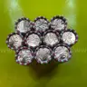 2023P LINCOLN PENNIES (POSSIBLE EXTRA &#x22;V&#x22; ERROR) (SEE VIDEO)10 ROLLS UNCIRCULATED  FREE SHIPPING (USA ONLY)