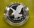 2025 LASER ENGRAVED AMERICAN EAGLE ONE OUNCE SILVER PROOF COIN FREE SHIPPING (USA ONLY)