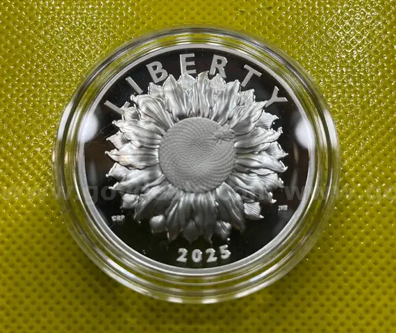 2025 AMERICAN LIBERTY SILVER MEDAL ONE OUNCE 99.9% SILVER PROOF COIN FREE SHIPPING (USA ONLY)