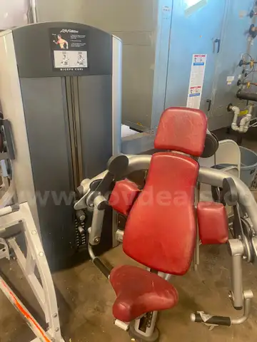 Life Fitness FZBC Biceps Curl (No Bench)