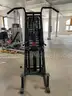 Stair Master 2000 Assisted Dip