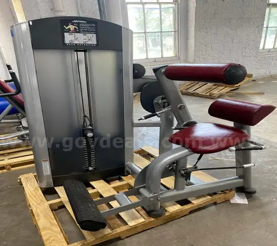 Life Fitness FZBE Back Extension