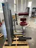 Life Fitness FZHA Back Extension