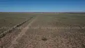 Arizona - Buildable Lot Near Petrified Forest 1.25 Acres Level Land