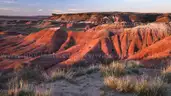 Arizona - Buildable Lot Near Petrified Forest 1.25 Acres Level Land